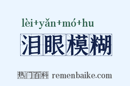 泪眼模糊是什么意思的图片